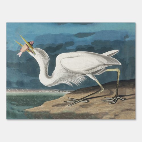 Great White Heron Audubon Bird Wildlife Painting Sign