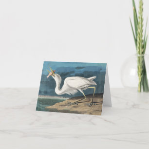 Great White Heron Audubon Bird Wildlife Painting Thank You Card