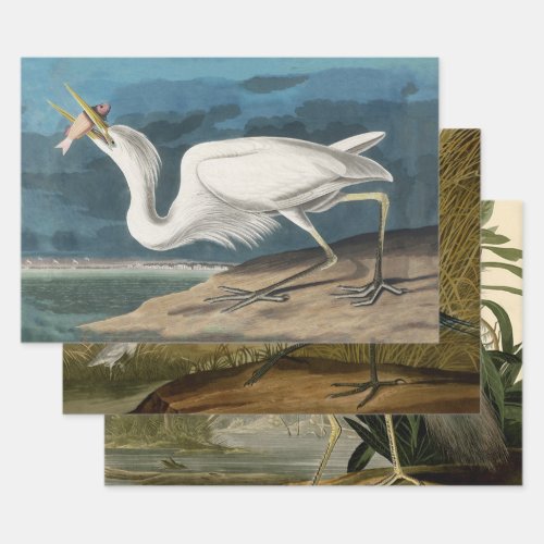 Great White Heron Audubon Bird Wildlife Painting Wrapping Paper Sheets