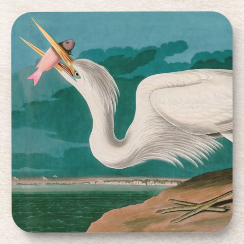 Great White Heron Birds of America Audubon Print Beverage Coaster