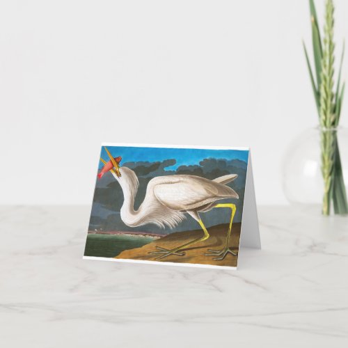 Great White Heron by John James Audubon Thank You Card