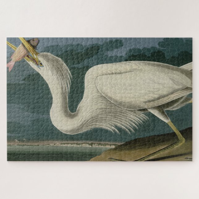 Great White Heron, from Audubon's Birds of America Jigsaw Puzzle (Horizontal)
