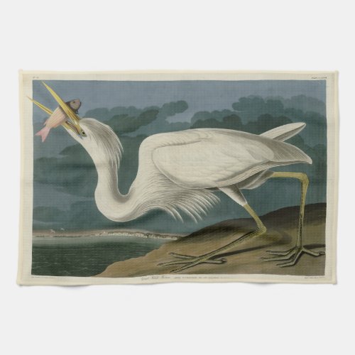 Great White Heron from Audubons Birds of America Kitchen Towel
