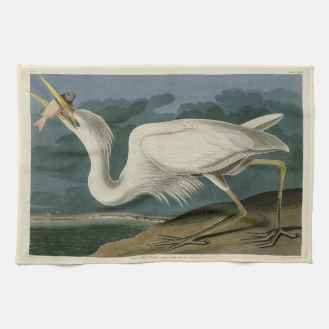 Great White Heron, from Audubon's Birds of America Kitchen Towel (Horizontal)