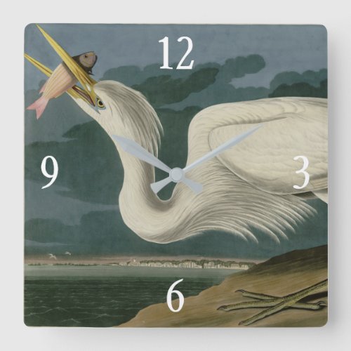 Great White Heron from Audubons Birds of America Square Wall Clock