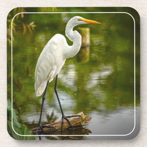 Great White Heron on a Log Tropical Scene Beverage Coaster