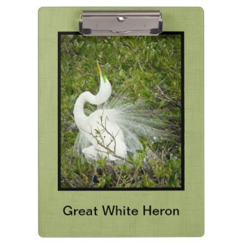 Great White Heron Spring Plumage Pose Photo Clipboard by NancyTrippPhotoGifts at Zazzle