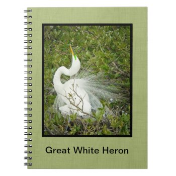 Great White Heron Spring Plumage Pose Photo Notebook by NancyTrippPhotoGifts at Zazzle