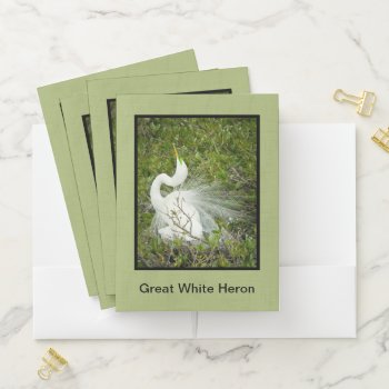 Great White Heron Spring Plumage Pose Photo Pocket Folder by NancyTrippPhotoGifts at Zazzle