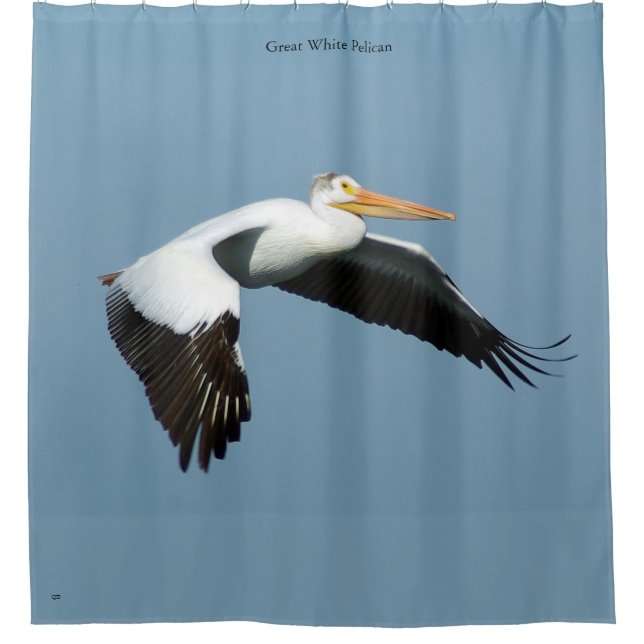 Great White Pelican shower curtain (Front)