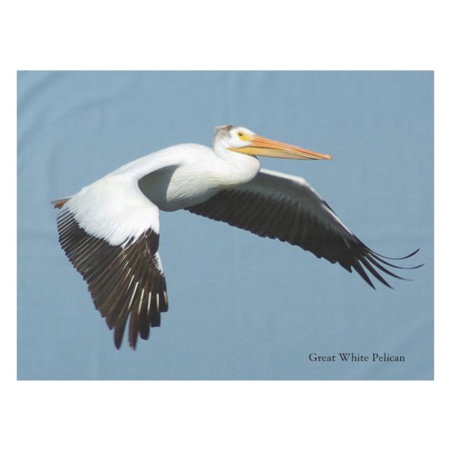 Great White Pelican table cloth (Front (Horizontal))