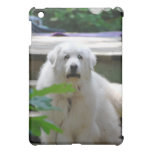 Great White Pyrenees Dog iPad Case iPad Mini Case