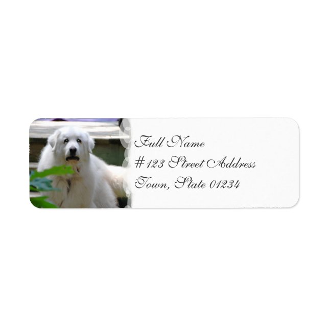 Great White Pyrenees Dog Mailing Labels (Front)
