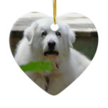 Great White Pyrenees Dog Ornament