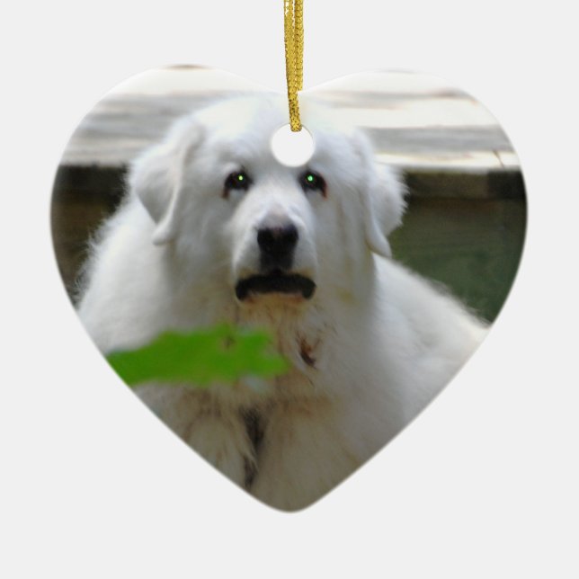 Great White Pyrenees Dog Ornament (Front)