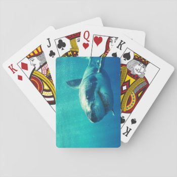 Great White Shark 1 Playing Cards by Trendi_Stuff at Zazzle