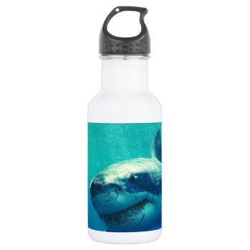 Great White Shark 1 Stainless Steel Water Bottle by Trendi_Stuff at Zazzle