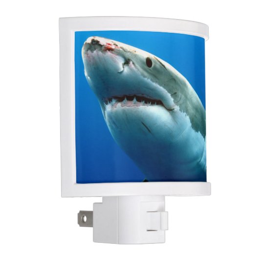 GREAT WHITE SHARK 3 NIGHT LIGHT (Right)