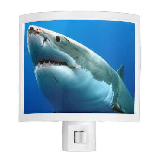 GREAT WHITE SHARK 3 NIGHT LIGHT (Front)
