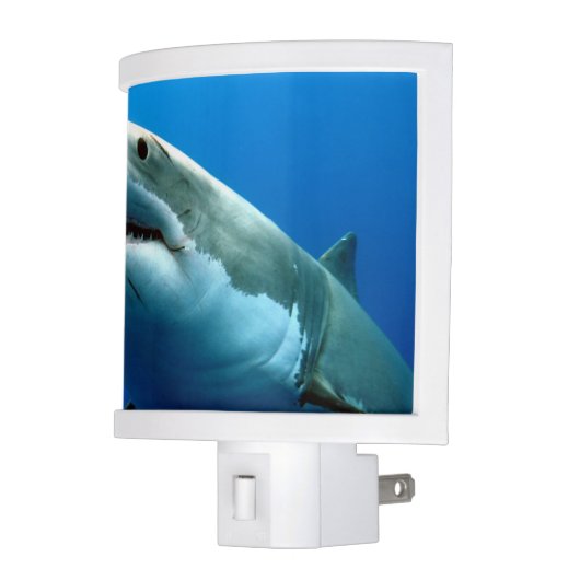 GREAT WHITE SHARK 3 NIGHT LIGHT (Left)