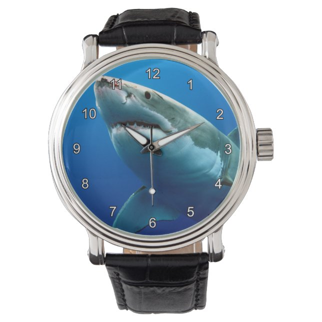 GREAT WHITE SHARK 3 WATCH (Front)
