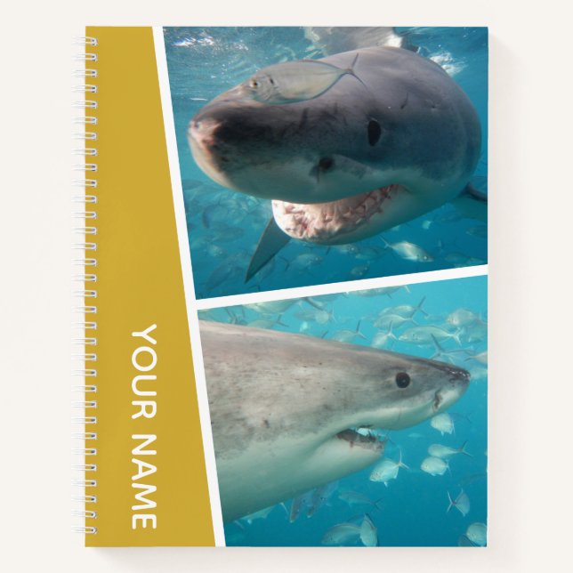 Great White Shark Australia Photo Collage Gold Notebook (Front)