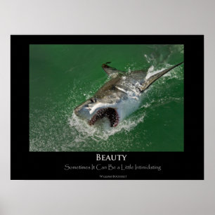 Great White Shark "Beauty" Poster