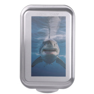 Great White Shark Cake Pan