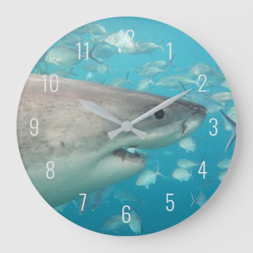 Great White Shark Close Up Underwater Australia La Large Clock