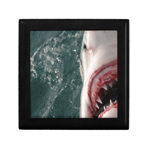 Great white shark gift box