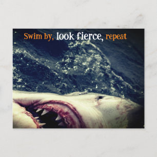 Great white shark jaws holiday postcard