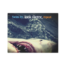 Great white shark jaws