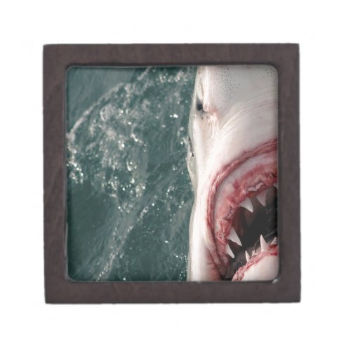 Great white shark jewelry box