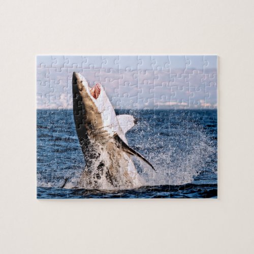 Great White Shark Jigsaw Puzzle
