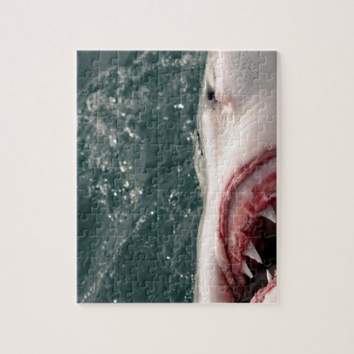 Great white shark jigsaw puzzle