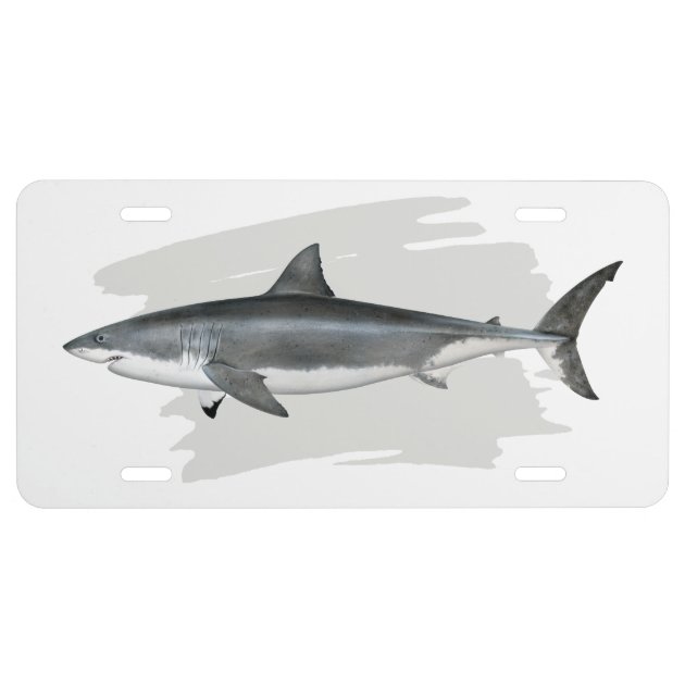 Great White Shark License Plate | Zazzle