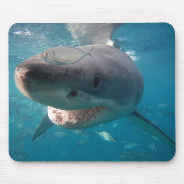 Great White Shark Mouse Pad (Front)
