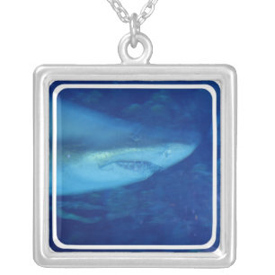 Great White Shark Necklace
