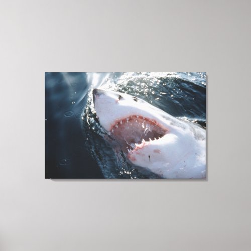 Great White Shark on sea Canvas Print