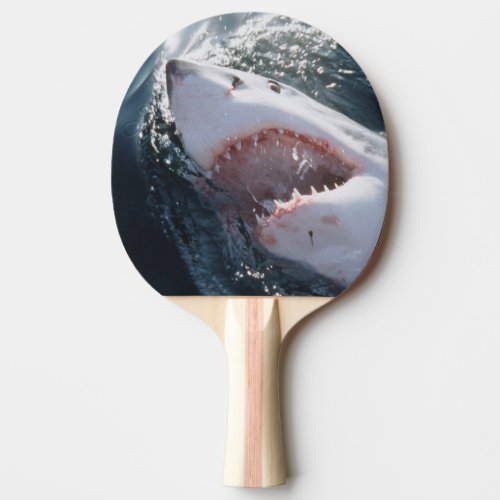Great White Shark on sea Ping Pong Paddle