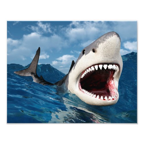 Great White Shark Photo Print