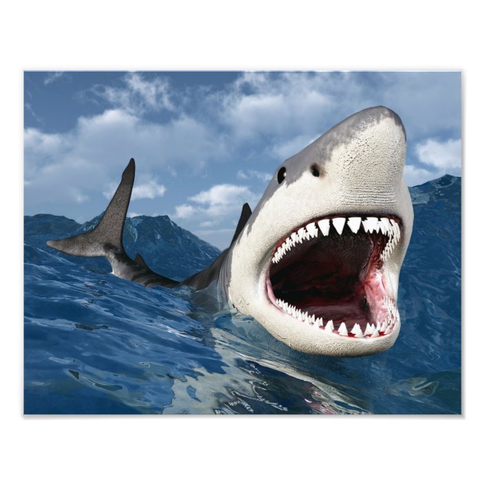 Great White Shark Photo Print | Zazzle.com