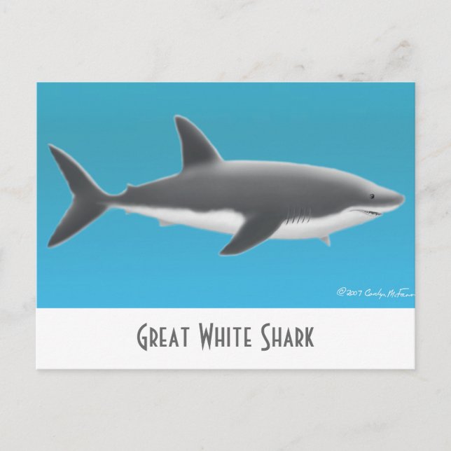 Great White Shark Postcard (Front)