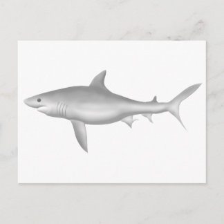 Great White Shark Postcard