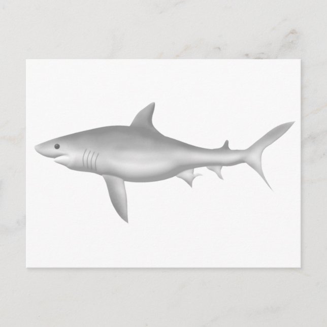 Great White Shark Postcard (Front)