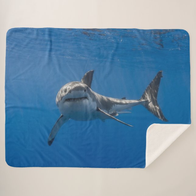 GREAT WHITE SHARK SHERPA BLANKET (Front (Horizontal))