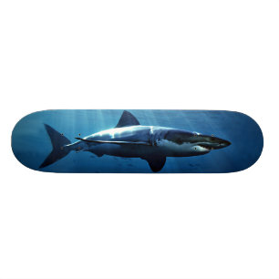 great white shark skateboard