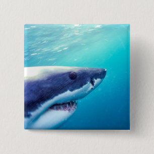 Great White Shark   South Africa Button