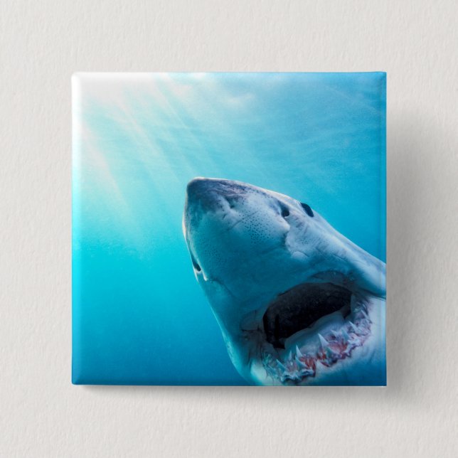 Great White Shark | South Africa Button (Front)