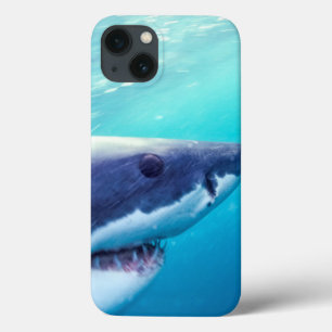 Great White Shark   South Africa iPhone 13 Case